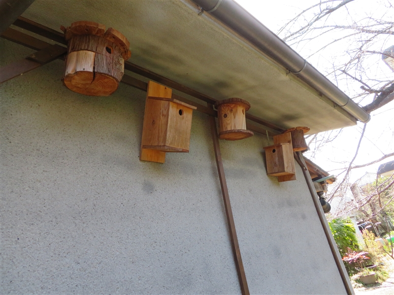 巣箱 ～ 野鳥を庭に呼ぶ